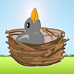 Feed The Chicks