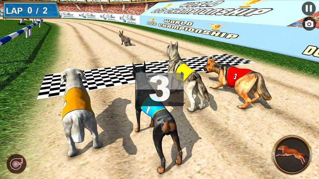 Animal race. Гонки на Ишаках. Dog Racing game. Animal Racing. Virtual Dogs Racing.