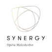 Synergy icon