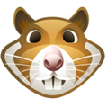 xhamsterlive