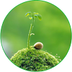 Qua Tang Cuoc Song APK