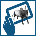 kidAR Animals