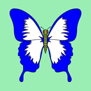 How to Draw a Butterfly APK