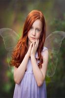 Fairy Winx Photo Editor Affiche