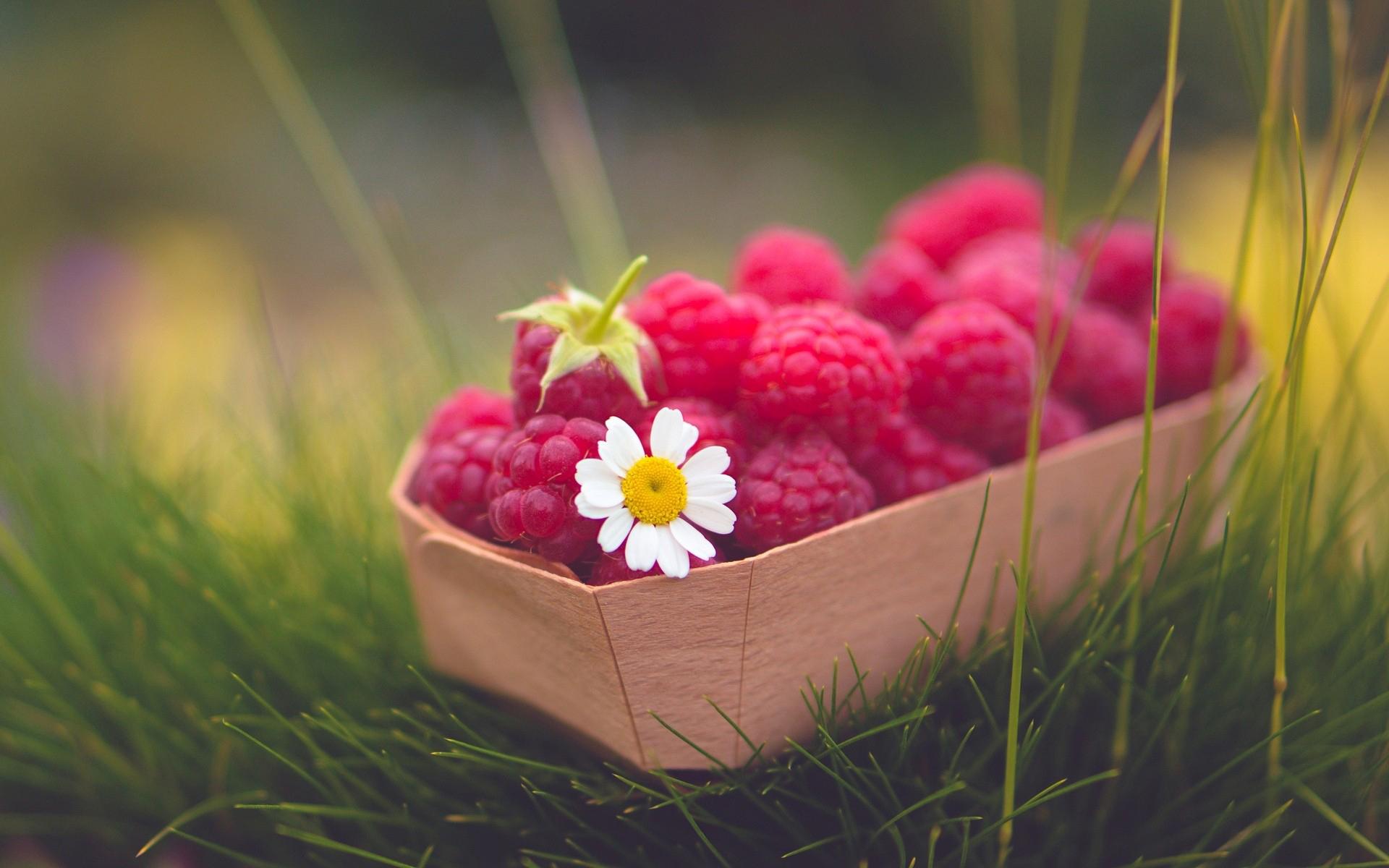 Fresh Fruit Wallpaper HD APK for Android – Download Fresh Fruit Wallpaper HD APK Latest Version from Fresh Fruit Wallpaper HD APK for Android – Download Fresh Fruit Wallpaper HD APK Latest Version from