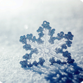 Snowflake Wallpaper HD