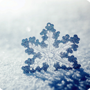 Snowflake Wallpaper HD APK