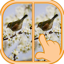 APK Trova le differenze di livello