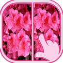 Farklılıklar 27 Seviye bul APK