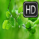 HD Wallpapers for Huawei APK