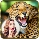 Wild Animal Photo Editor