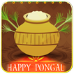 Pongal Live Wallpaper