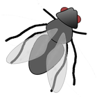 Fly Escape icon