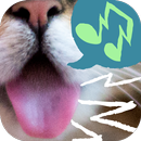 Lil BUB's Ringtones! APK