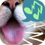 Lil BUB's Ringtones! icono