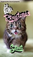 Lil BUB's Ringtones! Poster