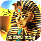 Pharaoh Slots أيقونة