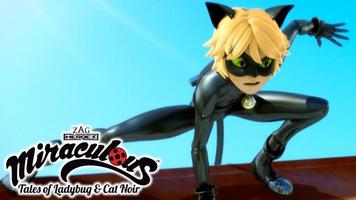 Best Miraculous Ladybug Cat Noir Videos Affiche