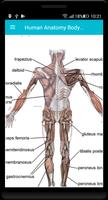 Human Anatomy Body Parts Guide スクリーンショット 2