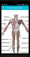 Human Anatomy Body Parts Guide screenshot 2