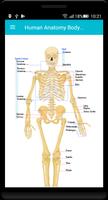 Human Anatomy Body Parts Guide スクリーンショット 3