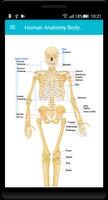 Human Anatomy Body Parts Guide screenshot 3