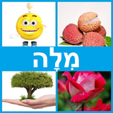 Icona 4 תמונות 1 מילה