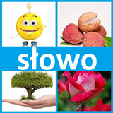 4 fotki 1 słowo आइकन