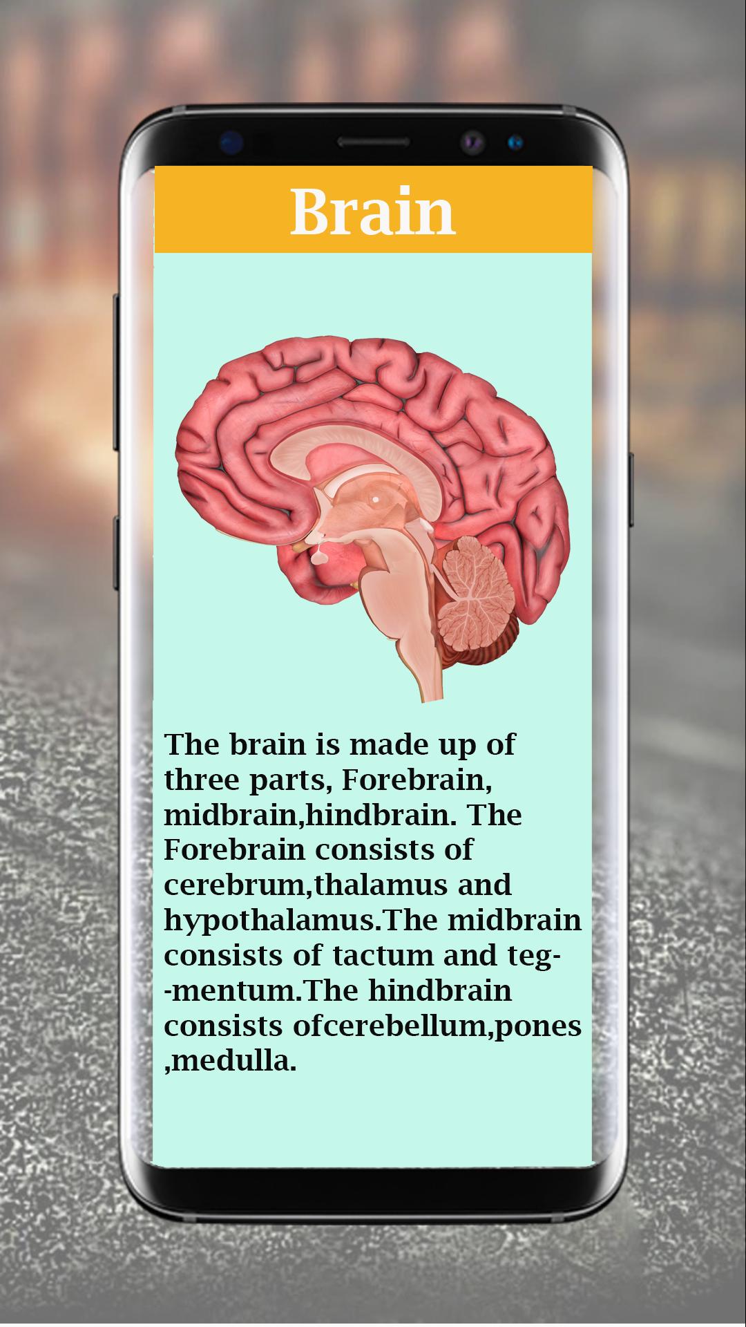 Human Body Anatomy - Anatomy Structure APK per Android Download