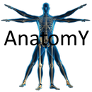 human anatomy physiology atlas APK