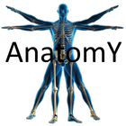 human anatomy physiology atlas icône