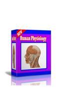 Human Physiology Affiche