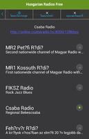 Hungarian Radios Free plakat