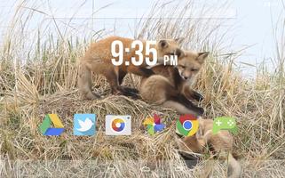 Cute Fox Cubs Playing Live WP screenshot 3