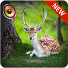 Hunting calls icon