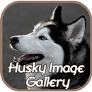 APK Husky Image Gallery