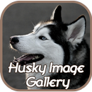 Husky Image Gallery APK