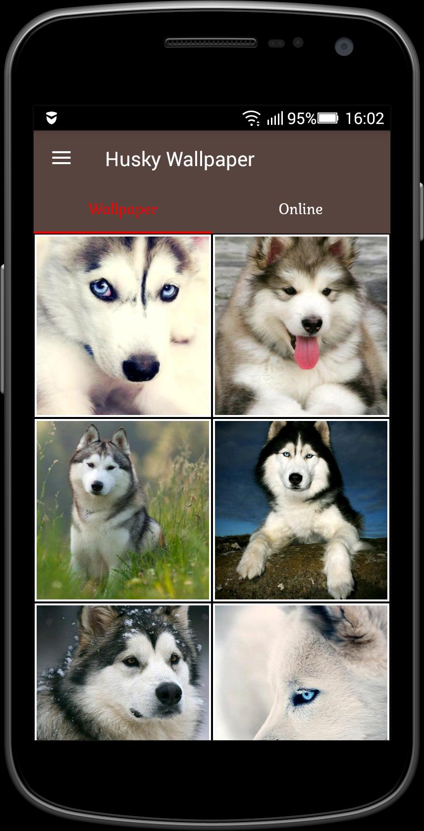 Husky Wallpaper For Android Apk Download