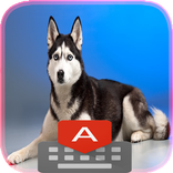 ”Siberian Husky Keyboard Theme