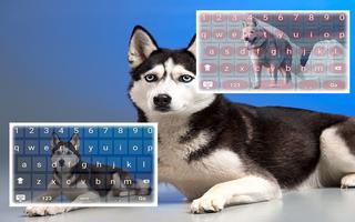 Siberian Husky Keyboard Theme پوسٹر