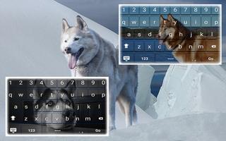 Siberian Husky Keyboard Theme تصوير الشاشة 1