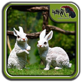 Garden Ornaments Design Ideas