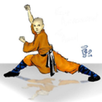 Shaolin Kung Fu APK