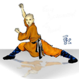 Shaolin Kung Fu ไอคอน