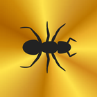 Bug Squash icon