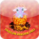 Fire dragon reborn APK