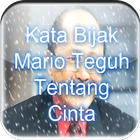 Kata Bijak Mario Teguh - Cinta আইকন