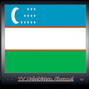 TV Uzbekistan Channel Info APK