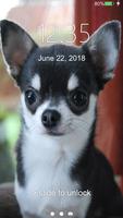 Écran De Verrouillage De Chihuahua Affiche