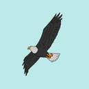 How to Draw a Bald Eagle APK